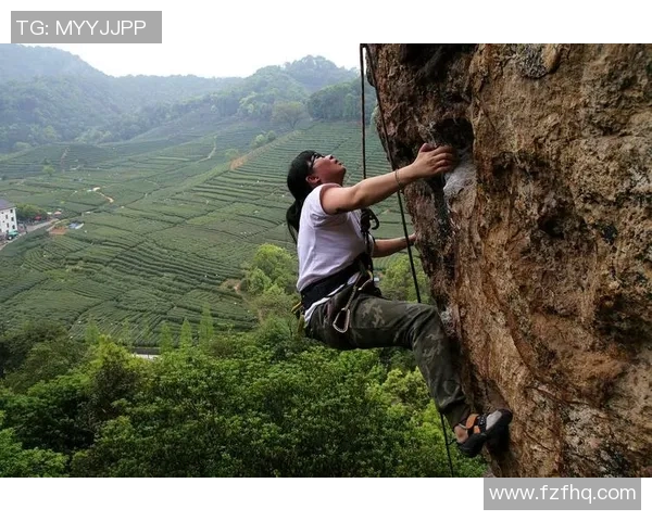 攀岩深度解析：杭州攀岩队如何构建高效区域防守体系